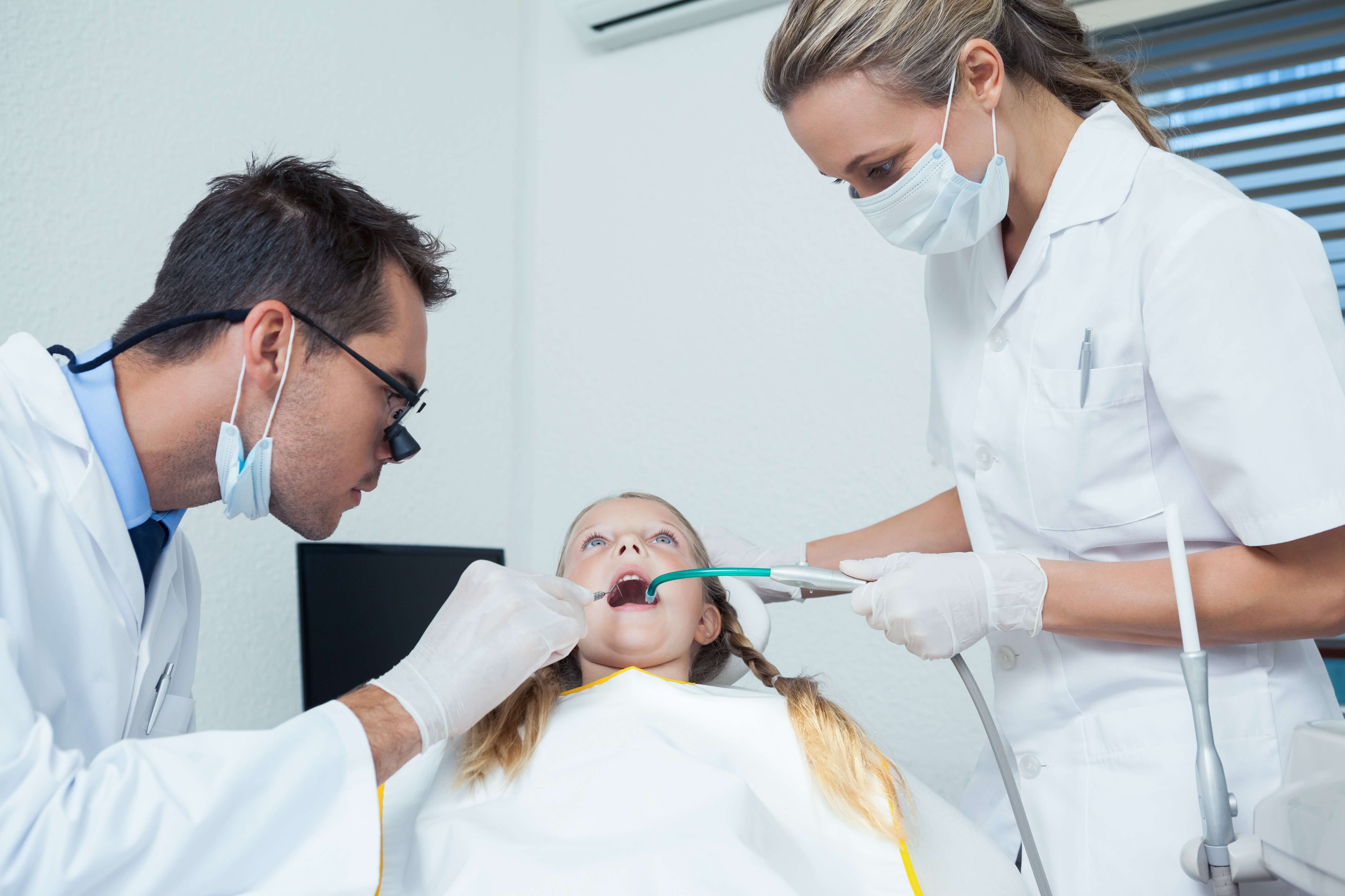 Who Are Working With The Dentists In A Dental Team?