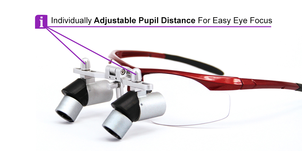 Ergo Prism Dental Surgical Loupes 3.0x