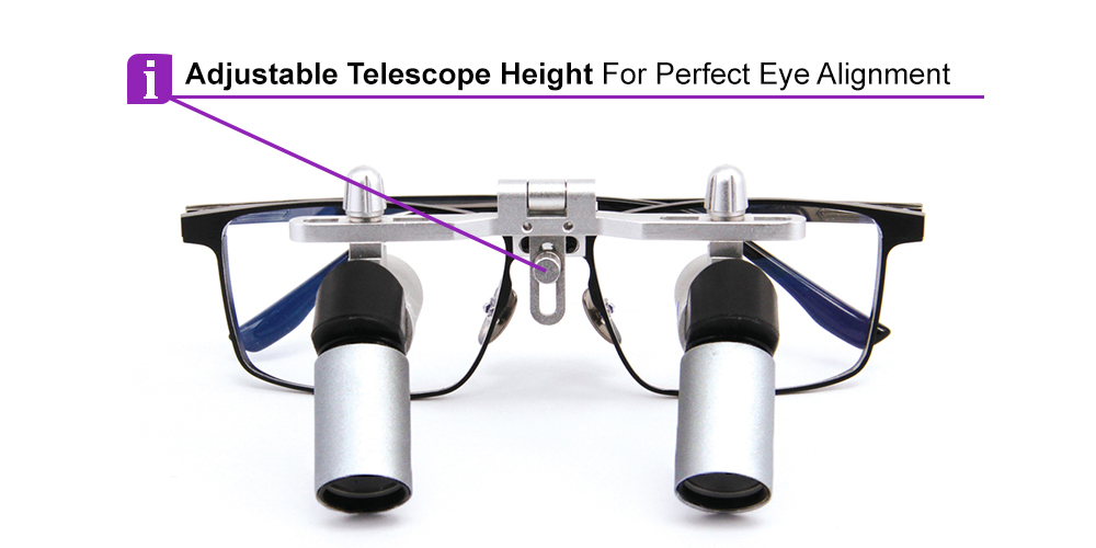 Ergo Prism Dental Surgical Loupes 3.0x