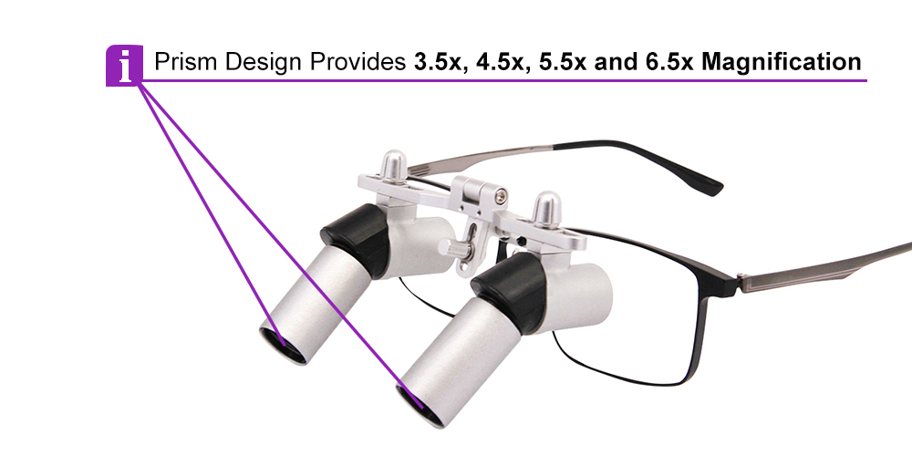 Ergo Prism Dental Surgical Loupes 6.0x