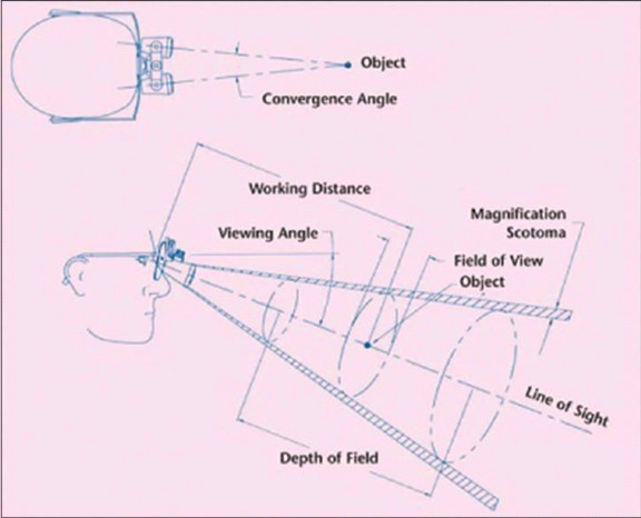 visual acuity and posture